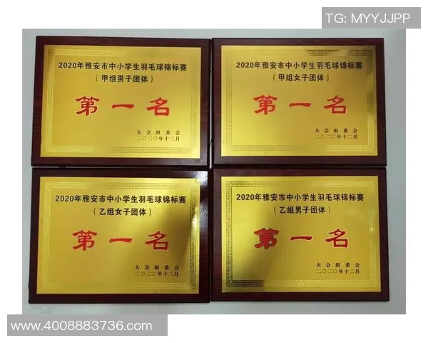 上海羽毛球队心理素质排名第一最新羽毛球心理素质TOP10揭晓